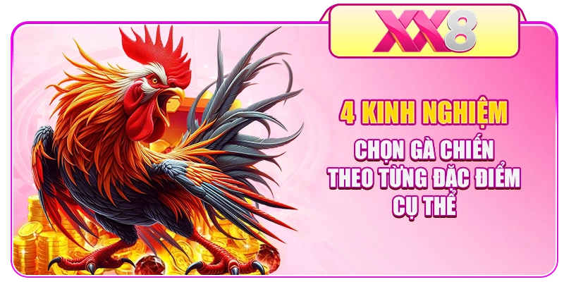 4 Kinh Nghiệm Chọn Gà Chiến Theo Từng Đặc Điểm Cụ Thể