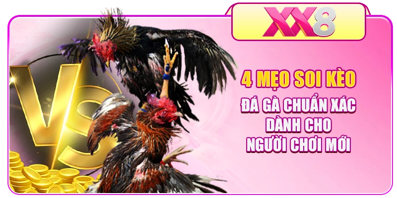 4 Mẹo Soi Kèo Đá Gà Chuẩn Xác Dành Cho Người Chơi Mới