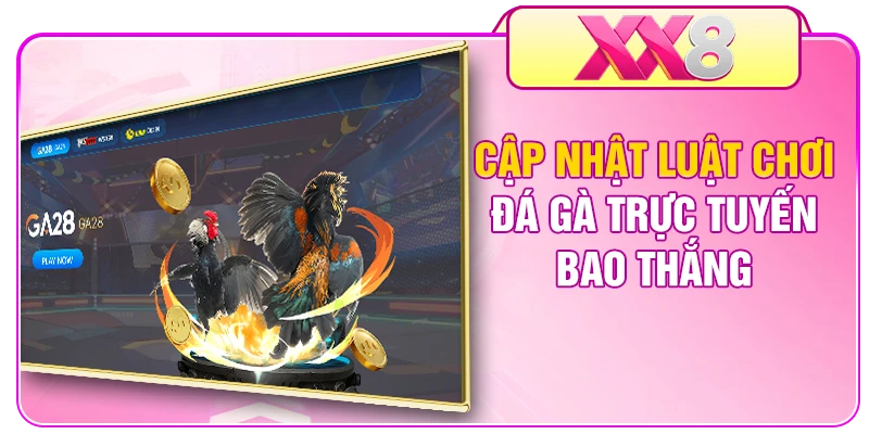 Cập nhật luật chơi đá gà trực tuyến bao thắng