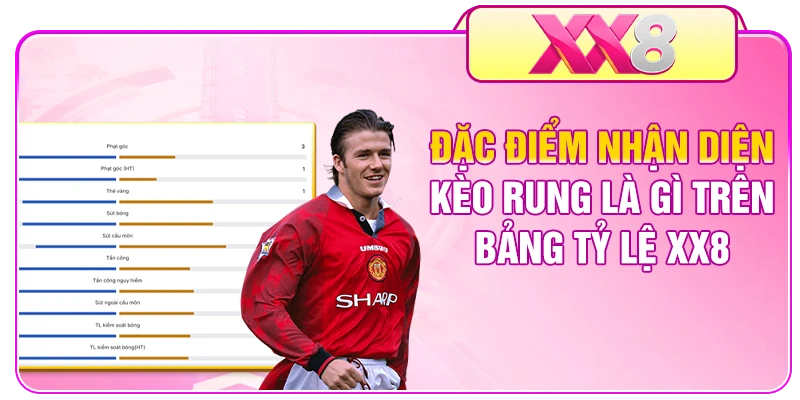 Đặc điểm nhận diện kèo rung là gì trên bảng tỷ lệ XX8