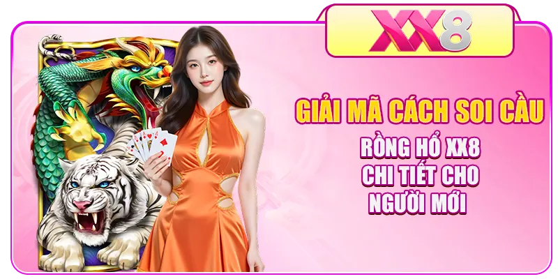 Giải mã cách soi cầu Rồng Hổ XX8 chi tiết cho người mới
