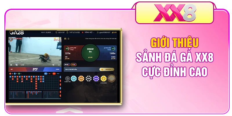 Giới thiệu sảnh đá gà XX8 cực đỉnh cao