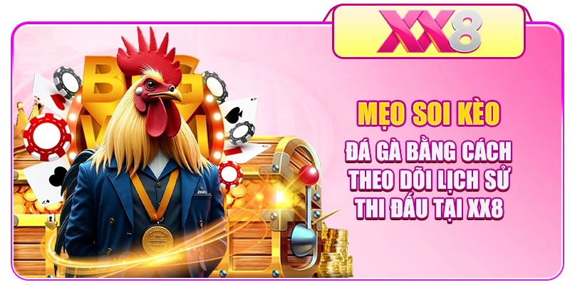 Mẹo soi kèo đá gà bằng cách theo dõi lịch sử thi đấu tại XX8