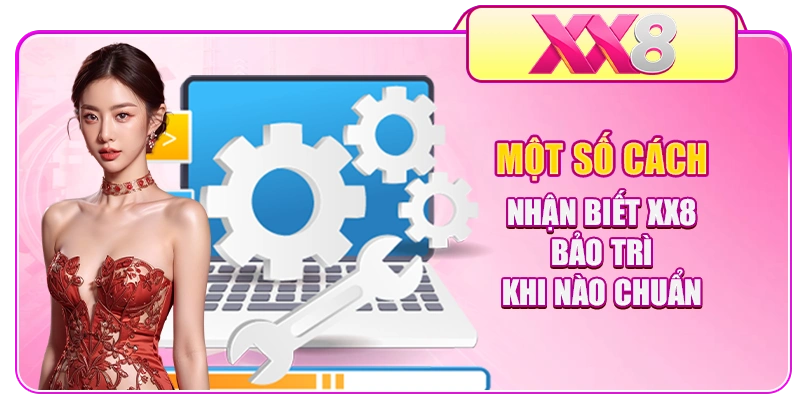 Một số cách nhận biết XX8 bảo trì khi nào chuẩn