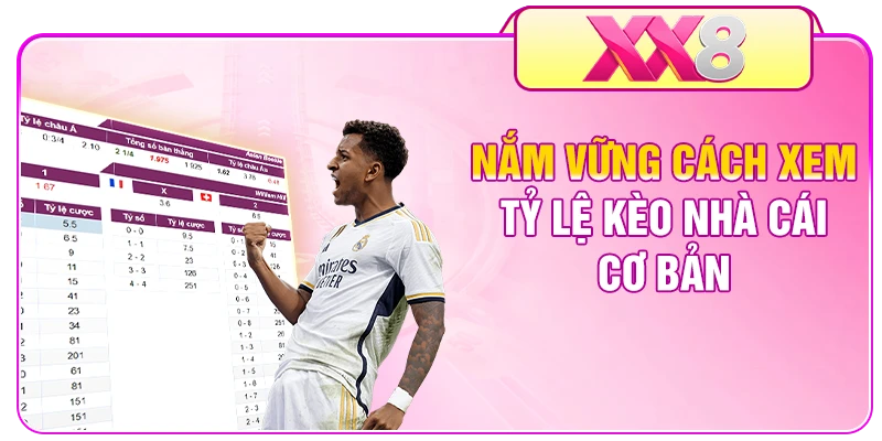 Nắm vững cách xem tỷ lệ kèo nhà cái cơ bản