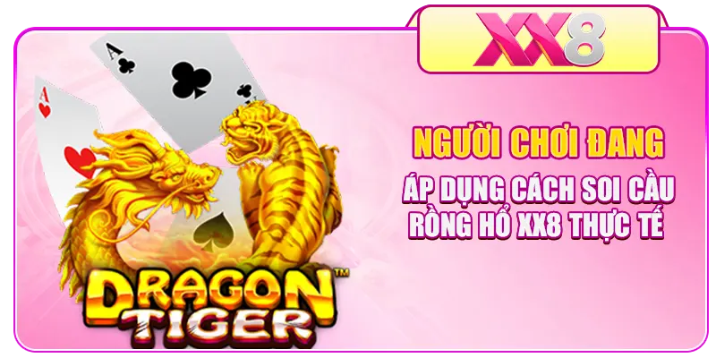 Người chơi đang áp dụng cách soi cầu Rồng Hổ XX8 thực tế