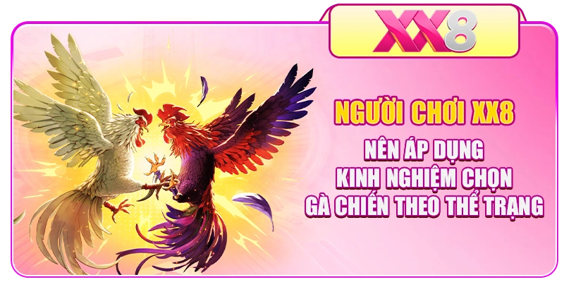 Người chơi XX8 nên áp dụng kinh nghiệm chọn gà chiến theo thể trạng