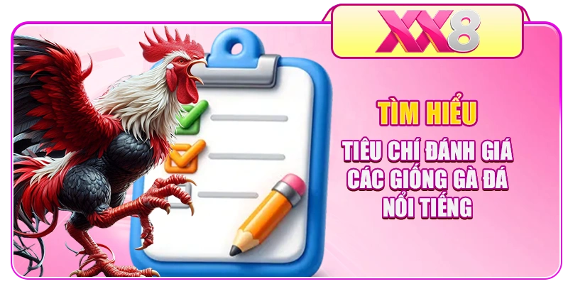 Tìm hiểu tiêu chí đánh giá các giống gà đá nổi tiếng