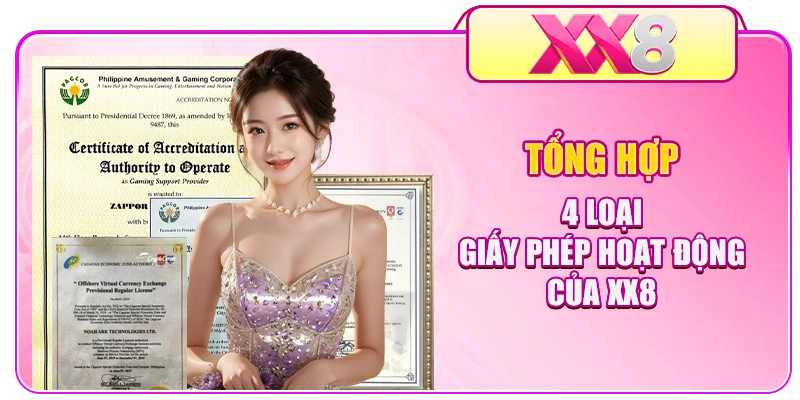 Tổng hợp 4 loại giấy phép hoạt động của XX8