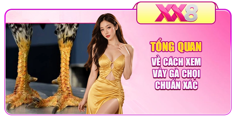 Tổng quan về cách xem vảy gà chọi chuẩn xác