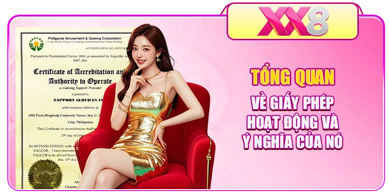 Tổng quan về giấy phép hoạt động và ý nghĩa của nó