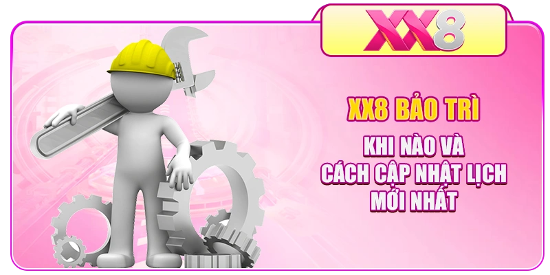 XX8 Bảo Trì Khi Nào Và Cách Cập Nhật Lịch Mới Nhất